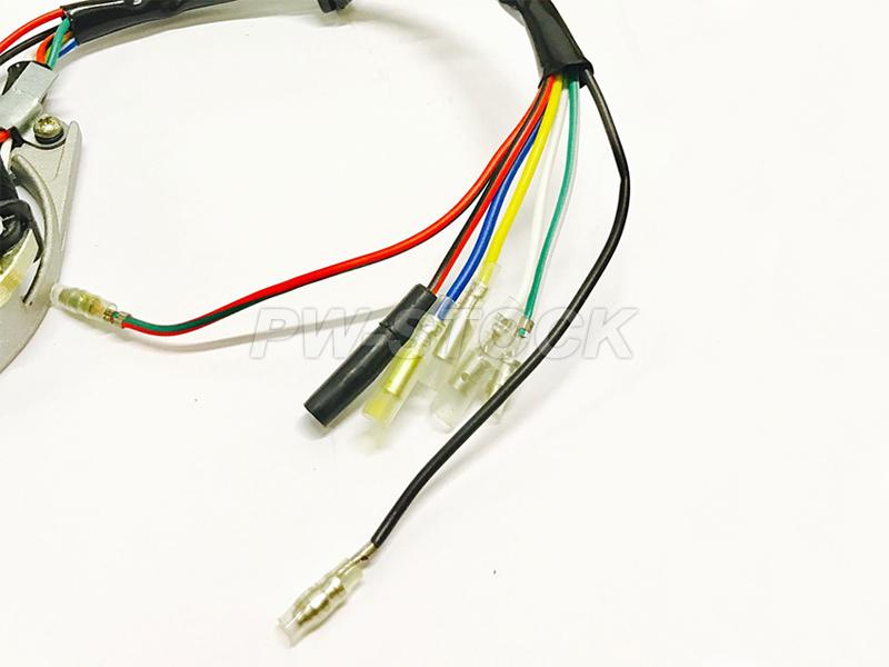 Stator D'allumage Complet Pour Dirt Quad, Pitbike 90 à 140cc - Compatible Dax, Quads Petits Moteurs